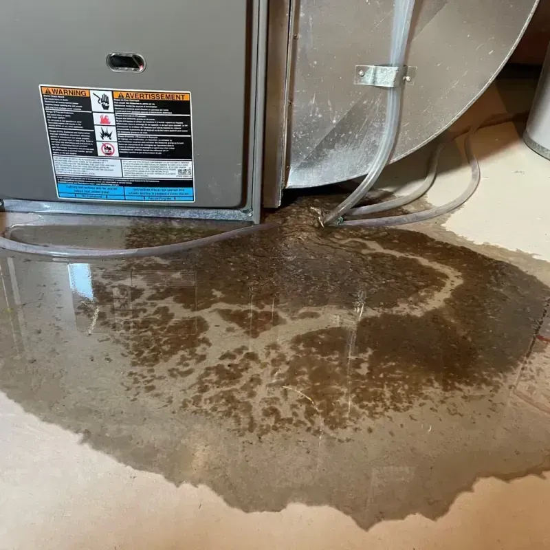 Appliance Leak Cleanup in Garden City, ID